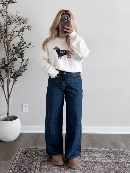 Sweater Weather Pup Sweater