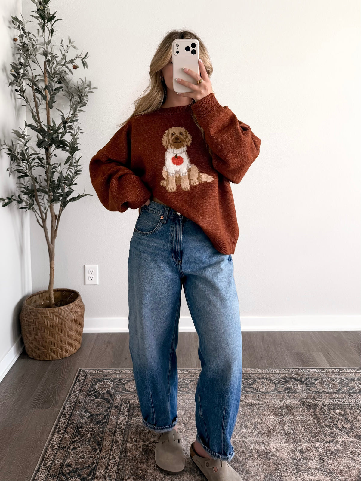 Pumpkin Spice Pup Sweater