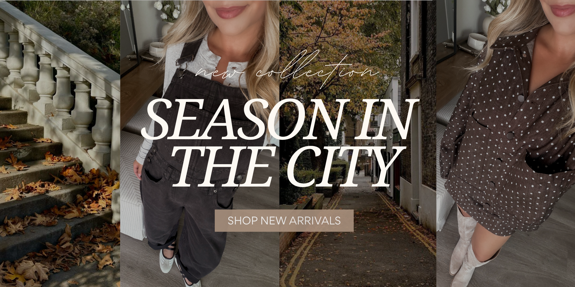 files/Banner_top_-_2026-07-29T181706.148.png