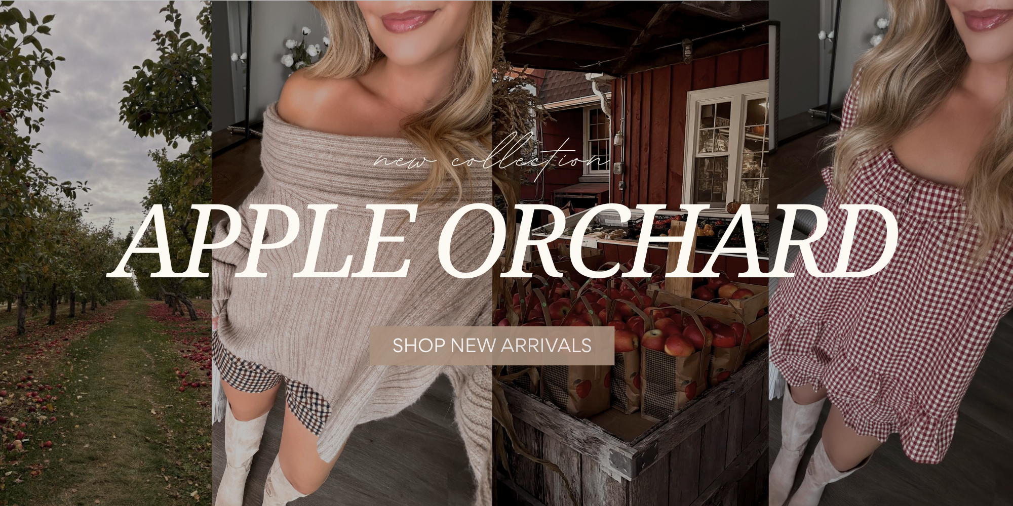files/Banner_top_-_2026-08-19T182532.612.png