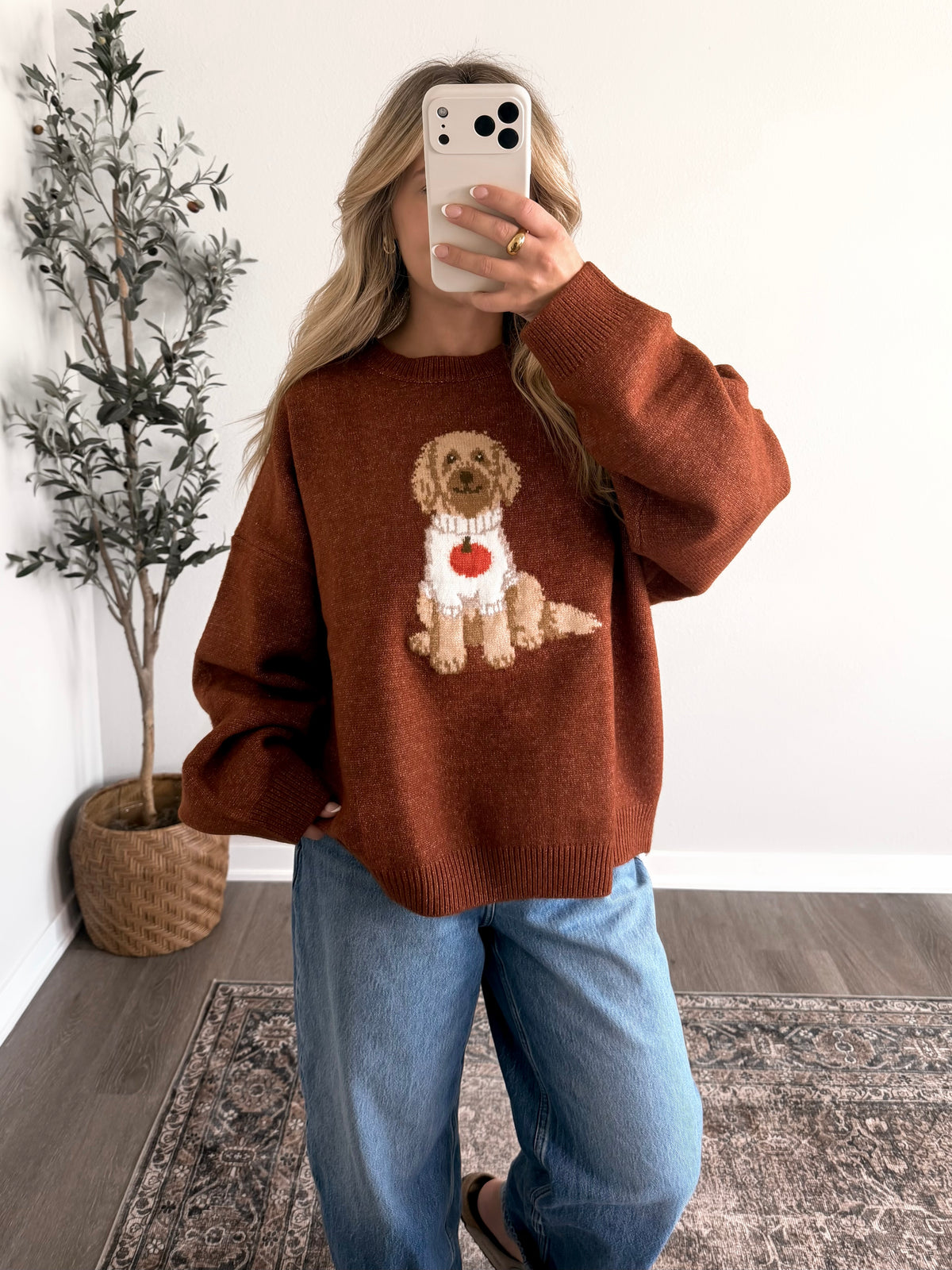 Pumpkin Spice Pup Sweater