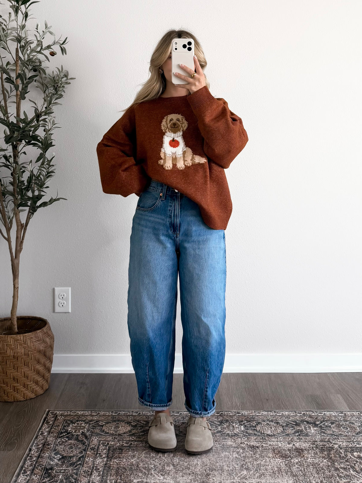 Pumpkin Spice Pup Sweater