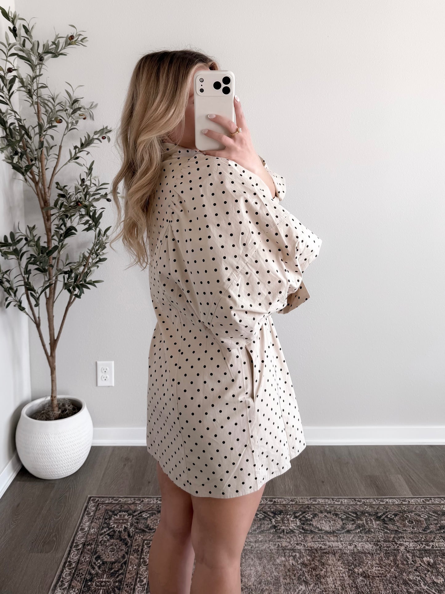 Caroline Dotted Tie Dress