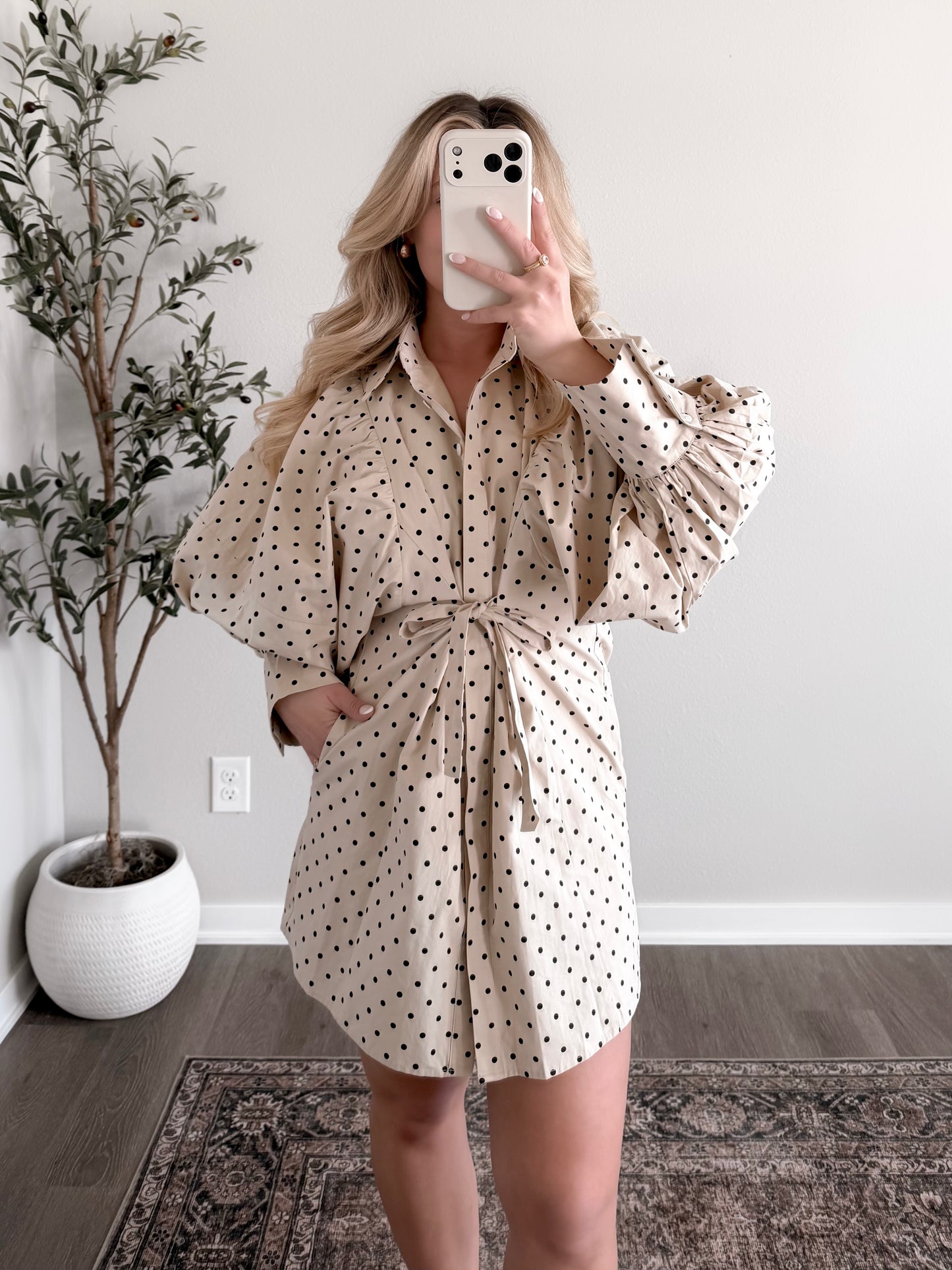 Caroline Dotted Tie Dress