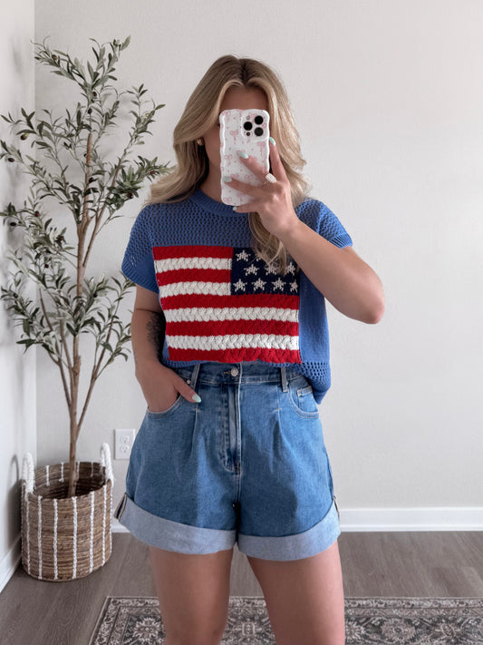 American Flag Knit Sweater / Blue