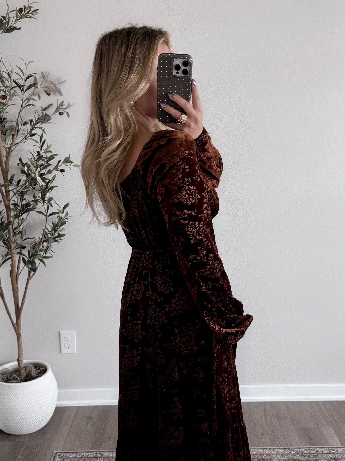Rich Velvet Embossed Maxi Dress