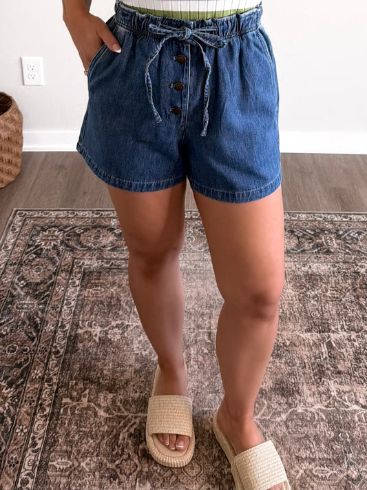 Reagan High Rise Denim Shorts