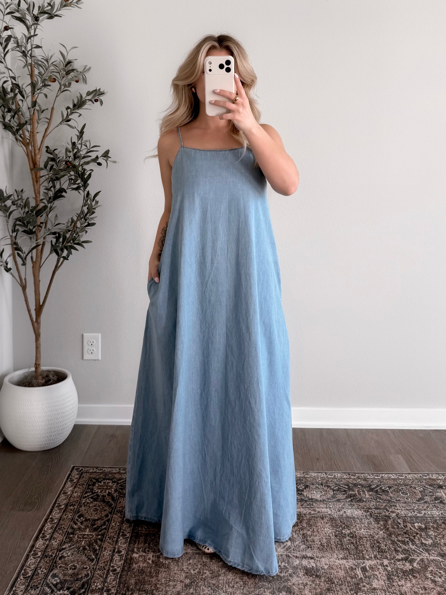 Sunline Denim Maxi Dress
