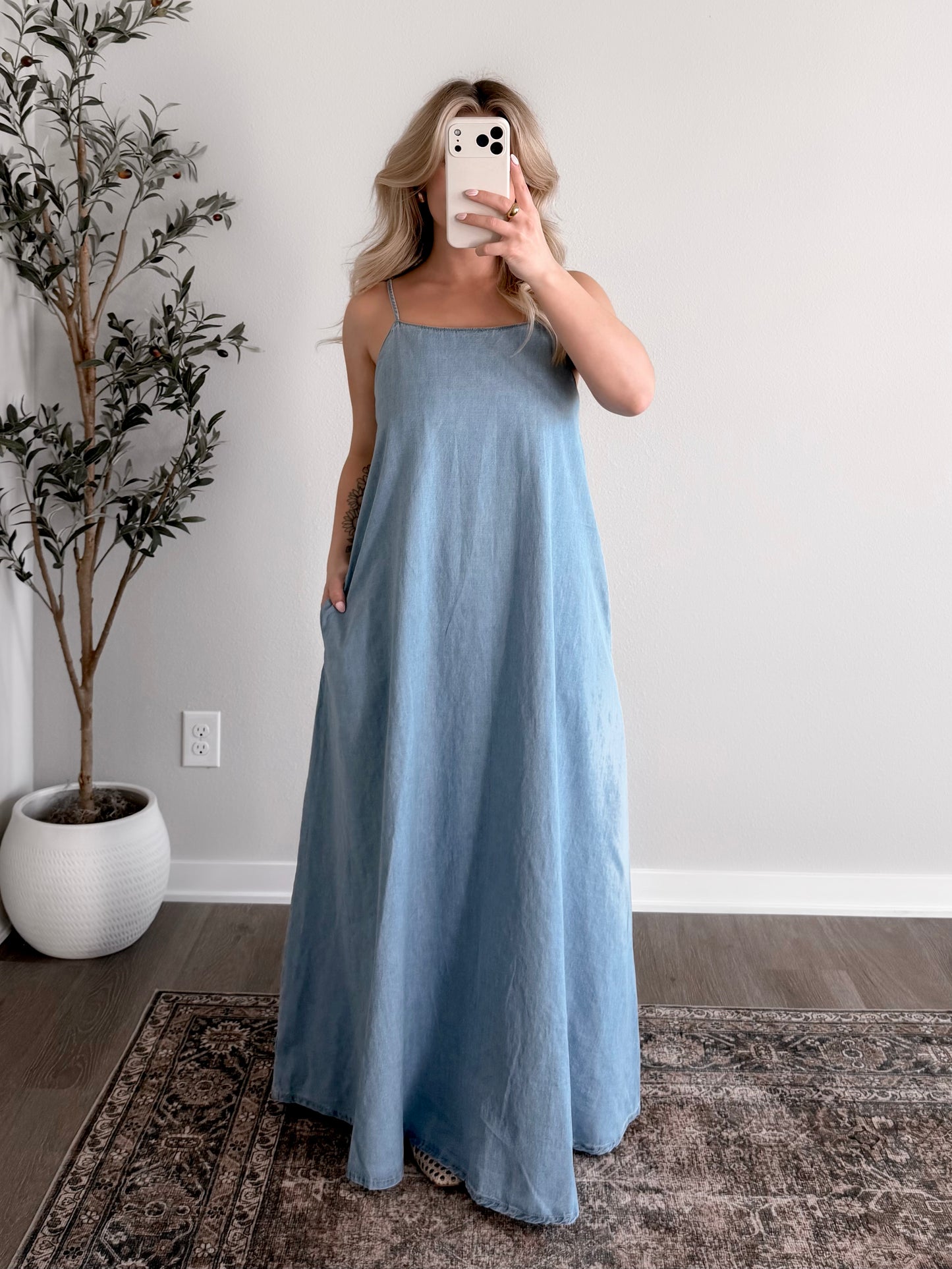 Sunline Denim Maxi Dress