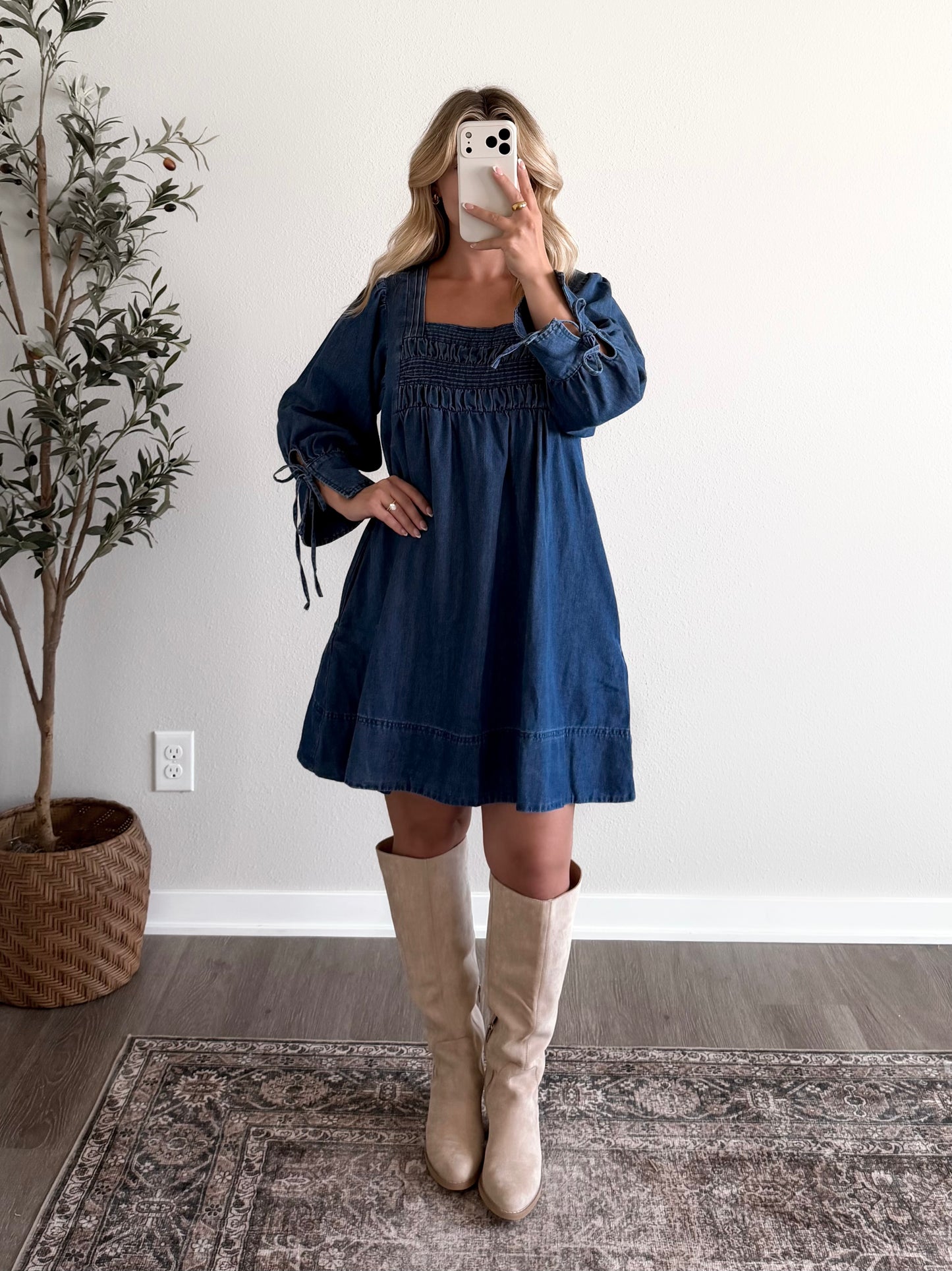 Rutherford Denim Dress