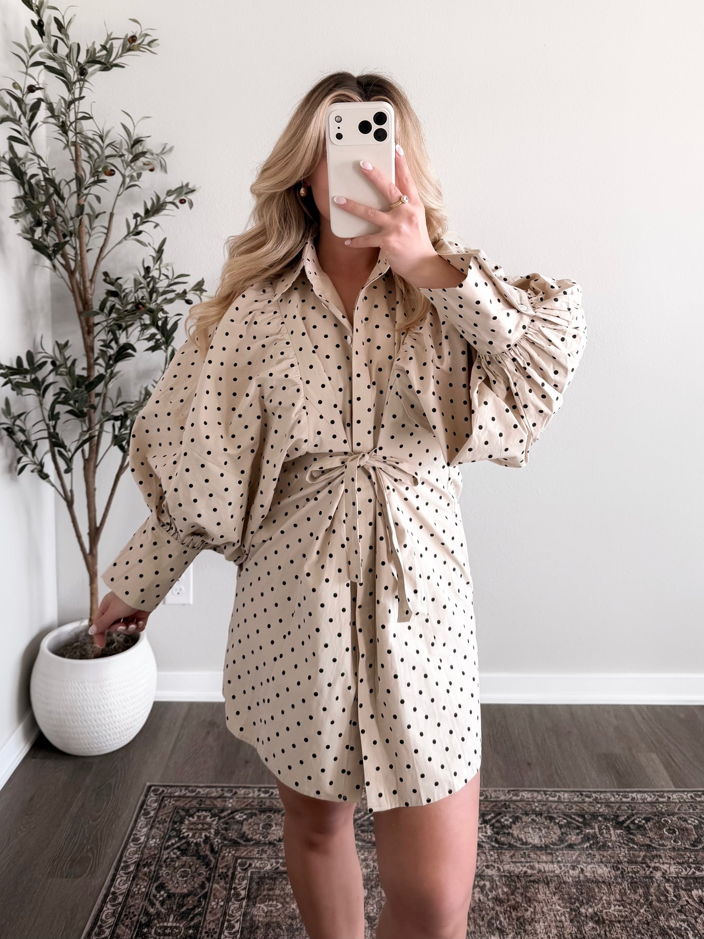 Caroline Dotted Tie Dress